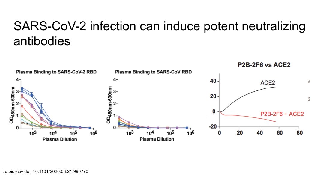 Some slides on antibodies and immunity.Here is a study showing development of potent neutralizing antibodies to SARS-CoV-2. https://www.biorxiv.org/content/10.1101/2020.03.21.990770v2