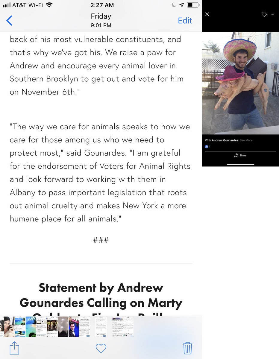 GiveLuckyBack's tweet photo. @Regulate_Bikes @FredGar08705244 @FesterFan @resident_nyc @SalAlbaneseNYC @BkLiam @JoeBorelliNYC @KeithMAtherholt @BayRidgeDems @Gary1863 @defendingNYC @QueenHolistic @Diana32163 @I_Am_With_Name @NMalliotakis @jenniferemoore @NYSkdiver @Sen_Gounardes The intellectual challenged #DeadPigSwinger is in over his head. He has betrayed his sacred pledges to voters, including helping them through crisis. #DumpAndrew #VoteHimOut #HeWasNotThereForUs https://t.co/MWH3nS4c71