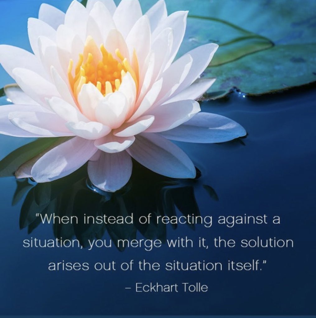 BuddhaBrian's tweet photo. Do not be concerned with the fruit of your action - just give attention to the action itself. The fruit will come of its own accord. This is a powerful spiritual practice.”
    ~@EckhartTolle https://t.co/YENZqBKnHk