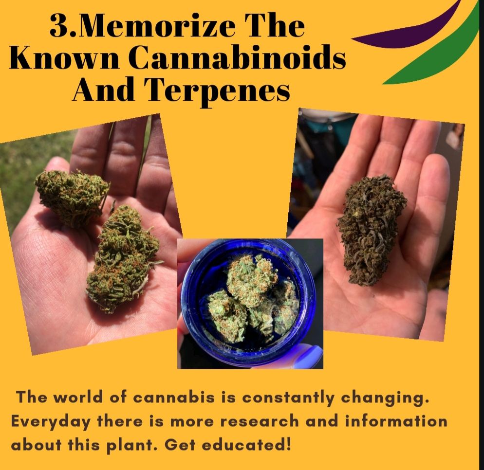 tryplainjane's tweet photo. We're all bored here, I know but challenging times call for community and creativity. Here's some ideas for our #plainjanelovers.
#tryplainjane #cbd #hemp #cannabiscommunity #cannabidiol #hempbuds #hempcompanies #quarantine #stayathome https://t.co/FeL7SS6dRP