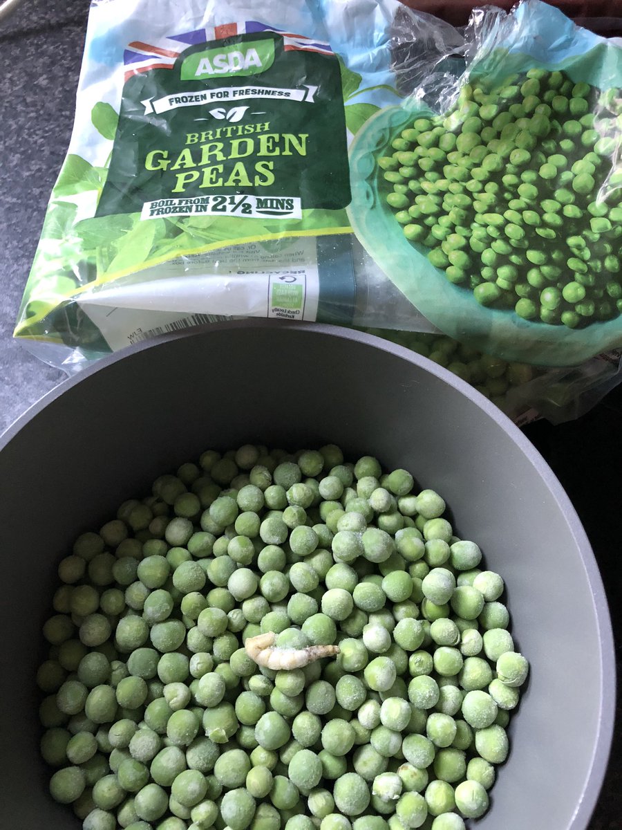 pen27pony's tweet photo. @asda I know foods a bit short at the min but this is a bit far frozen caterpillar 🐛🤢 https://t.co/7YA0ZOU0NY