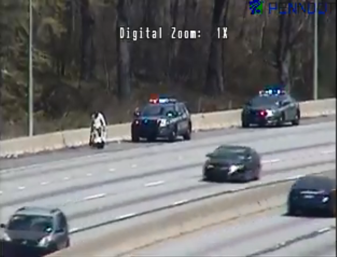 Mal_Poindexter3's tweet photo. You might want to try MLK Drive my man. It's not safe on the EB Schuylkill Exwy. #WalkOn #GetThoseSteps https://t.co/S7f9nwxS5d