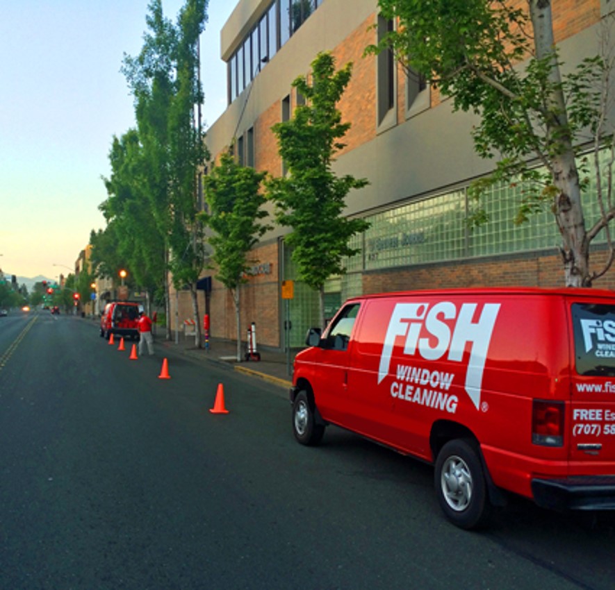 fishwindowclean tweet picture