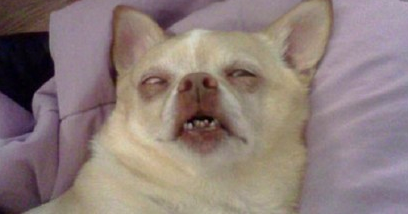 LomitoCuraDepre's tweet image. - Buenos días, ¿Cómo amaneció mi princesa?
-