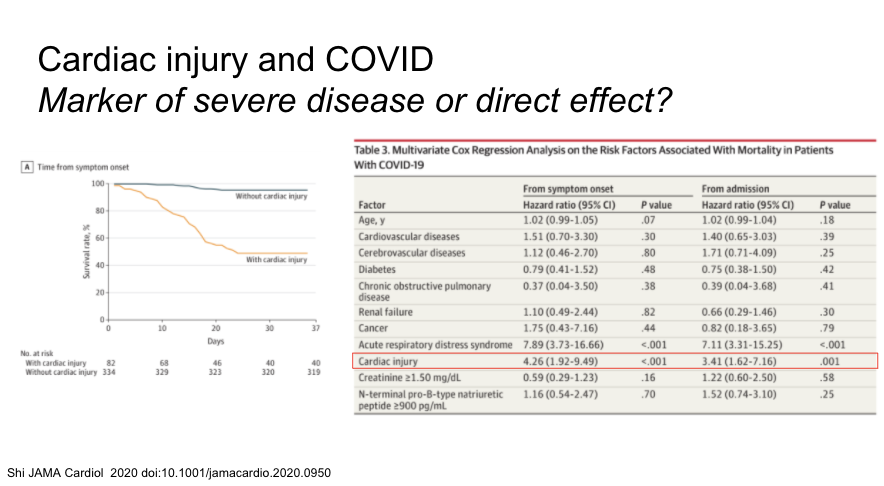 Another study of 416 patients with 20% having cardiac injury. Multivariable cox regression found adjusted hazard ratio for death with cardiac injury of 3.41.  https://jamanetwork.com/journals/jamacardiology/fullarticle/2763524