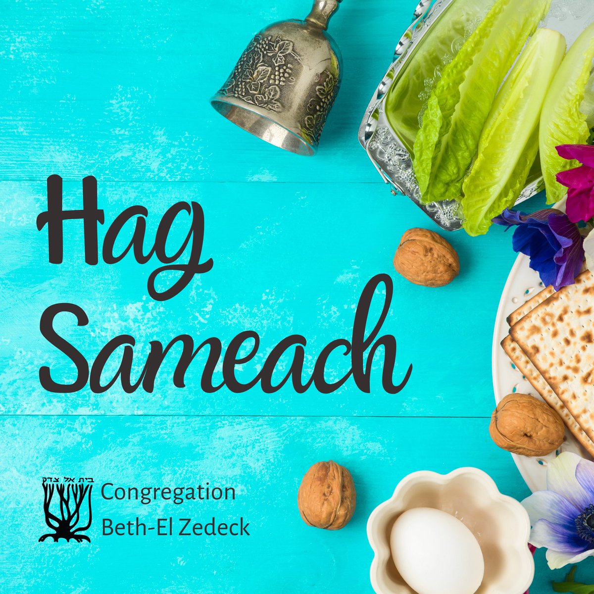 Congregation Beth-El Zedeck tweet media
