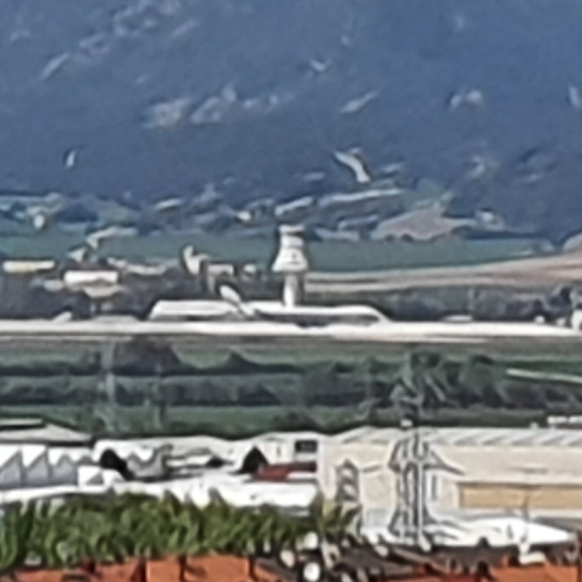 txokitxo's tweet photo. Hoy ha llegado de Rusia un avión con cargamento para nuestra sanidad.✈

 Desde Rusia con amor...💙🤍❤

#vitoriagasteiz #quedateencasa #yomequedoencasa #todosaldrabien https://t.co/bu6aqT7bcO