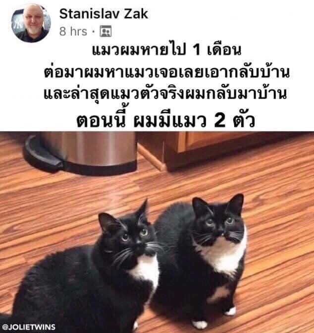  ใส่ใจ ♡ 🏳️🌈 tweet media