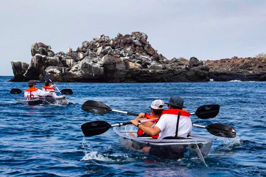 BeyondCruises's tweet photo. .@BeyondCruises | The Galapagos Islands itinerary is intricately curated to give passengers the ultimate adventure filled with excursions led by an onboard naturalist. #GalapagosCruises #BeyondTheOrdinary #BeyondCruises https://t.co/Py01PDBe7A
