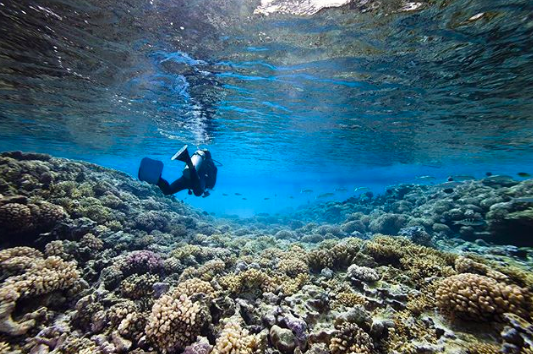BeyondCruises's tweet photo. The ocean is calling @BeyondCruises #BeyondTheOrdinary #BeyondCruises #TheSeychelles #GardenofEden https://t.co/EdScvvzDrl