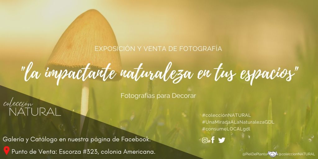 coleccNATURAL tweet picture