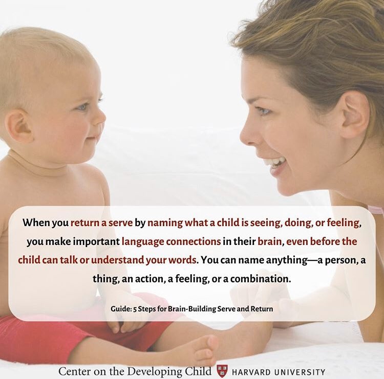 OssiningBasics's tweet photo. In this time home together, talking can be an invaluable tool to support your child’s development. Thank you #harvardcenterforthedevelopingchild #talksingandpoint https://t.co/7dpM9awRz2
