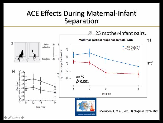 "Our data suggests that moms that have early childhood stress, women with high Adverse Childhood Experience (ACE) scores, had dampened cortisol response when separated from their infants in a stress model." - Dr. C. Neill Epperson,  #UNMCPsychGR  @unmcpsychiatry