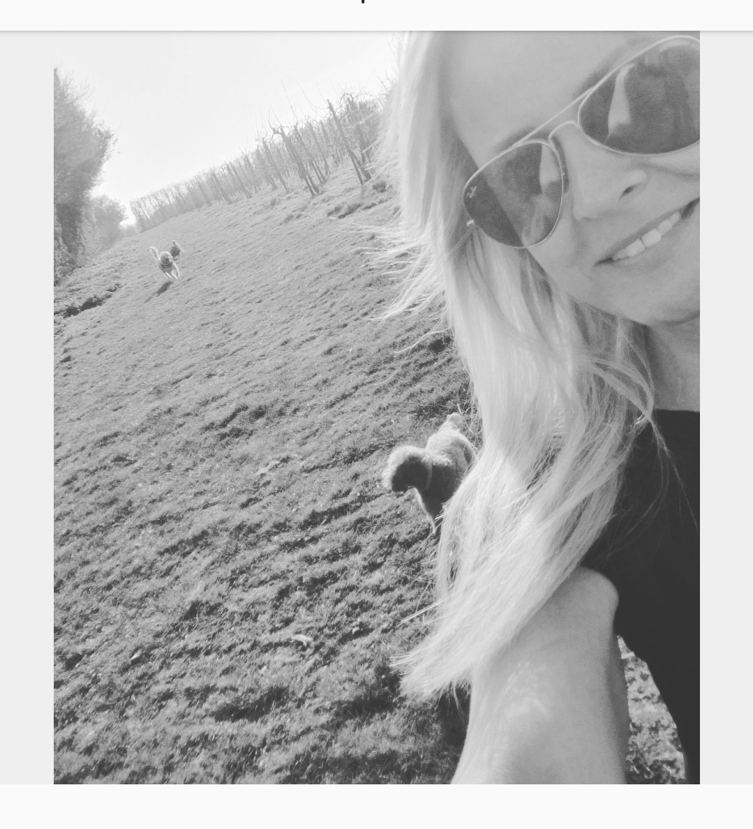GilhamGremo's tweet photo. Never underestimate the positive impact of 'me' time 🙏
#walkingforever #clearyourmind #happydogs #happyme #sunshine https://t.co/sulLKDLztI