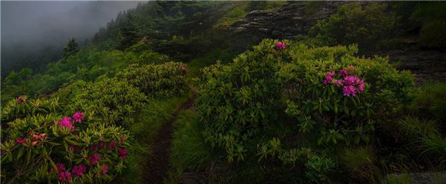 What Are The Benefits Of Choosing 2 Bedroom Cabin Rentals In Blowing Rock, bbmcoshkosh.com/what-are-the-b…