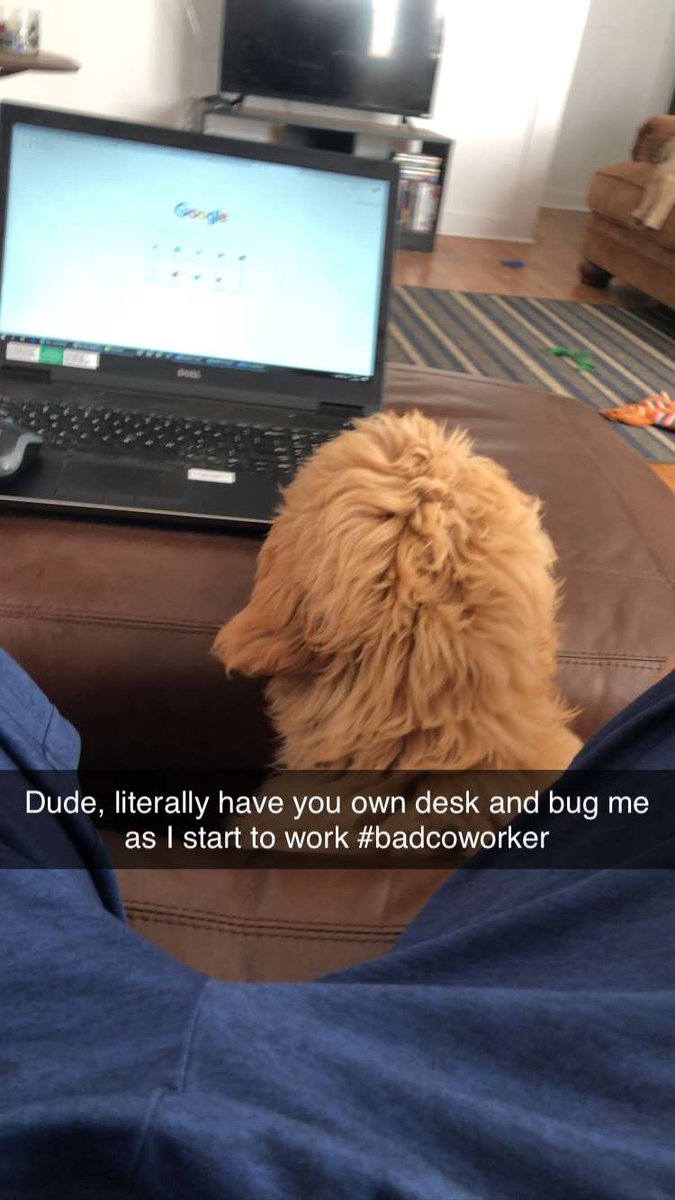 jtsimps10's tweet photo. 1) If you don’t follow me on Snapchat: since the recent office change I have been struggling with some bad coworkers and a rough office adjustment #badcoworkers https://t.co/OIyMYzcCF1