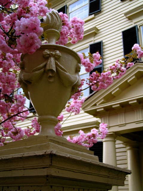 Today we feature photography by Jane Cappuccio Stauffer, "Pierce Nichol's House"