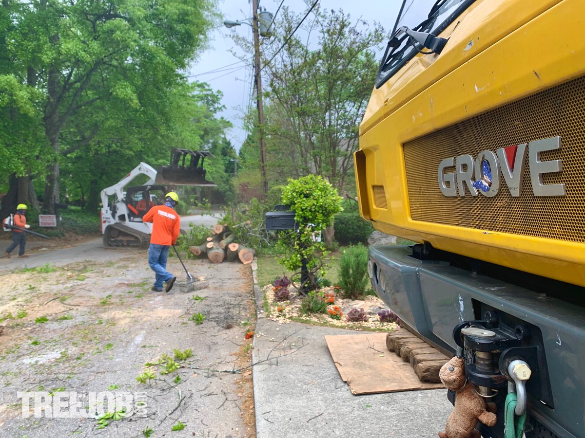 treejob tweet picture