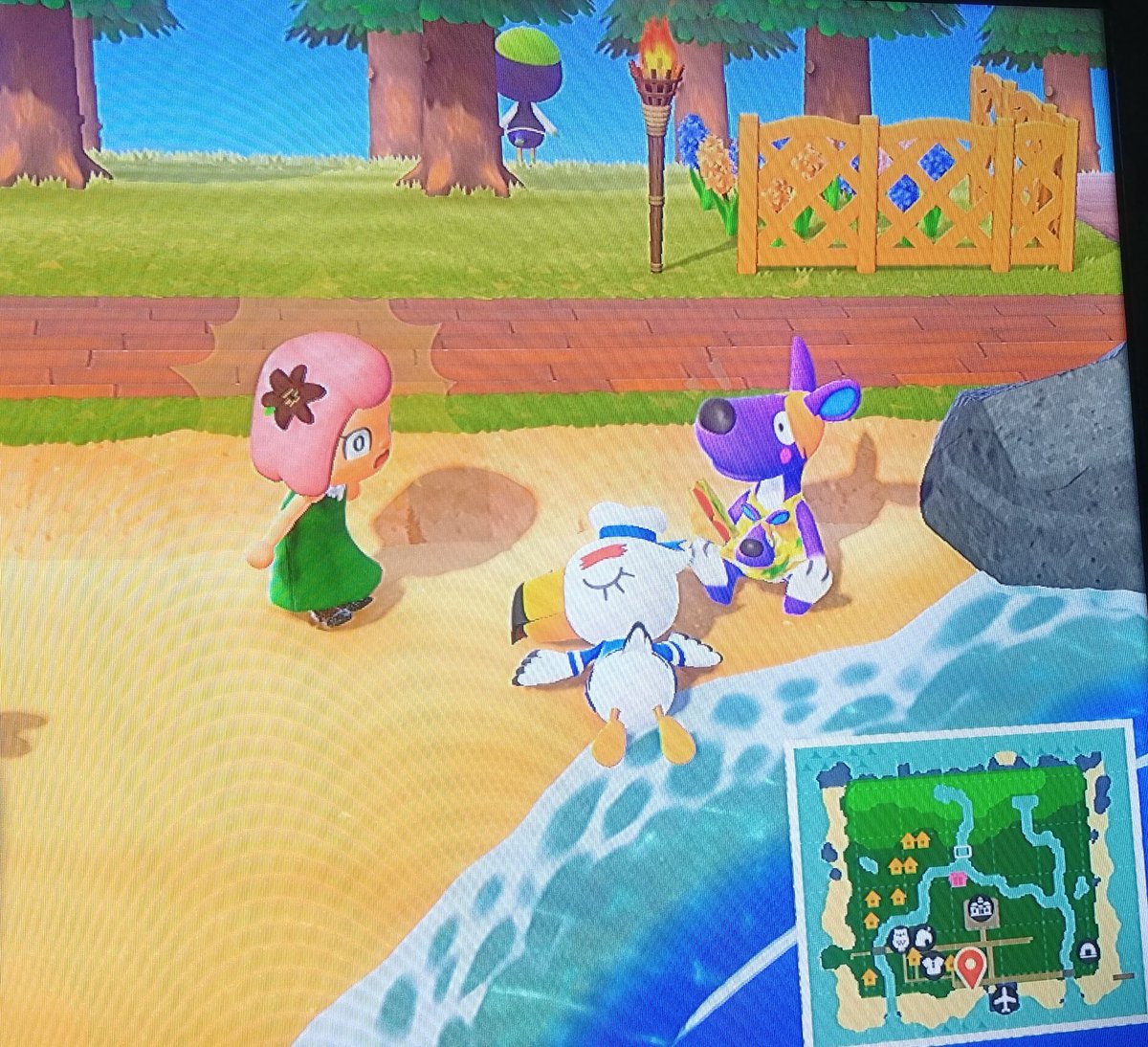 SupremeSteph381's tweet photo. I guess Tom Nook is not the one to fear anymore. I'll keep Sylvia's secret if I means I don't have to see that bird again.. #acnh #evilresidents #gulliver https://t.co/T61VWm6UlQ