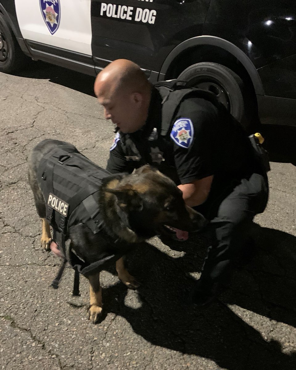 AlamedaPD's tweet photo. #APDinAction Yesterday @oaklandpoliceca requested our K9Team to locate an armed robbery suspect. Ultimately, OPD officers located two suspects.

We're fortunate to equip Dexter w/ a ballistic vest, donated by #CoveYourK9, giving him an added layer of protection before heading out https://t.co/9fwAnxOT46