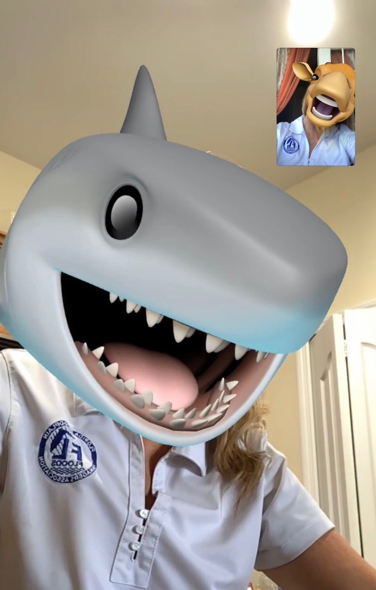 floodqueen101's tweet photo. Attacking day 2 of the FFMA Virtual Conference #FFMA2020 #paradisefloodies @FLfloods @FloodGeek101 @CeceMcKiernan https://t.co/AMQ9IYm1YZ