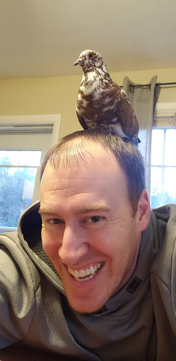 Working from home is for the birds! Meet Coco, my #wfh assistant! #BattlerSpiritWeek <a href="/AB_1871/">Alderson Broaddus University</a>
