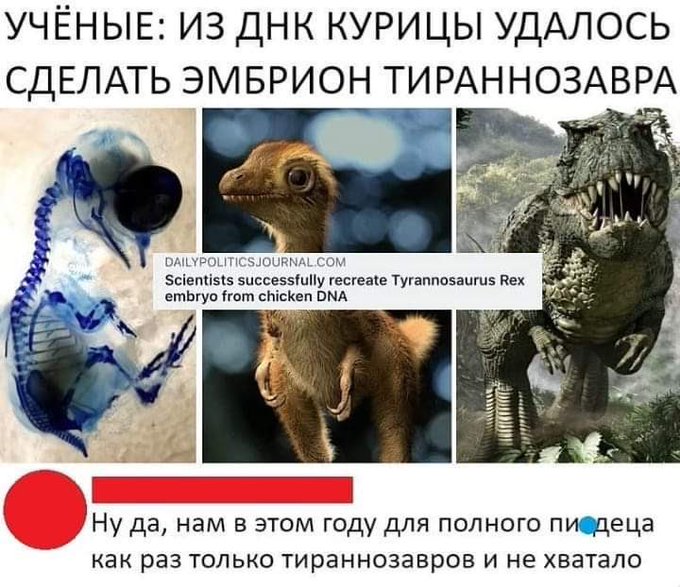 Якщо просидимо на карантині ще 2 тижні, то, можливо, до 24 квітня обмеження послаблять, - заступник голови ОП Тимошенко - Цензор.НЕТ 5029