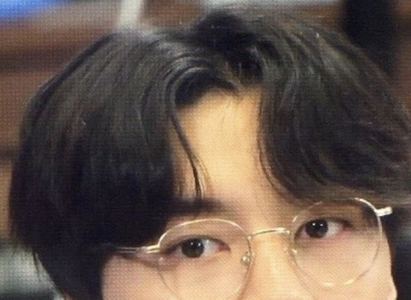 NCT 127 as this cat: A THREAD