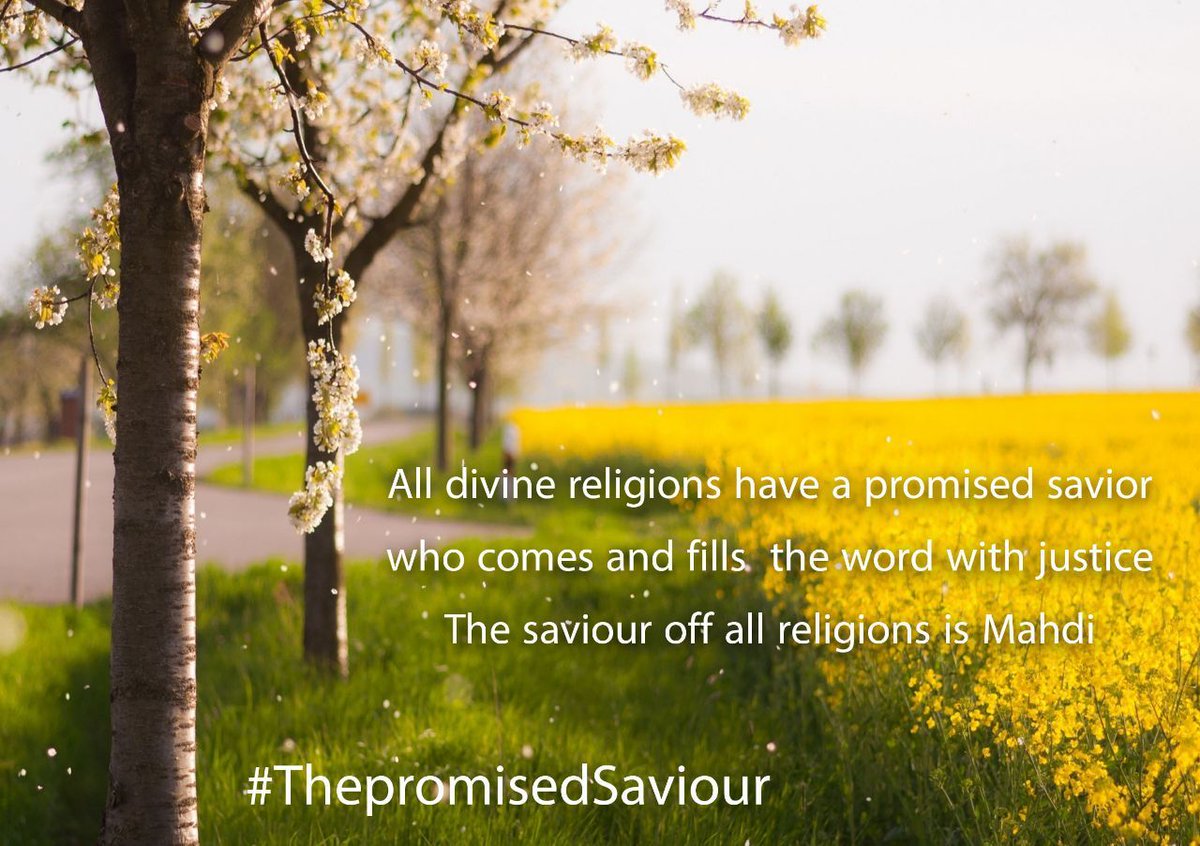 SAliM40_'s tweet photo. All divine religions have a promised savior who comes and fills the world with justice
The savior of all religions is Mahdi

#ThePromisedSaviour https://t.co/PuwcOUWrfl