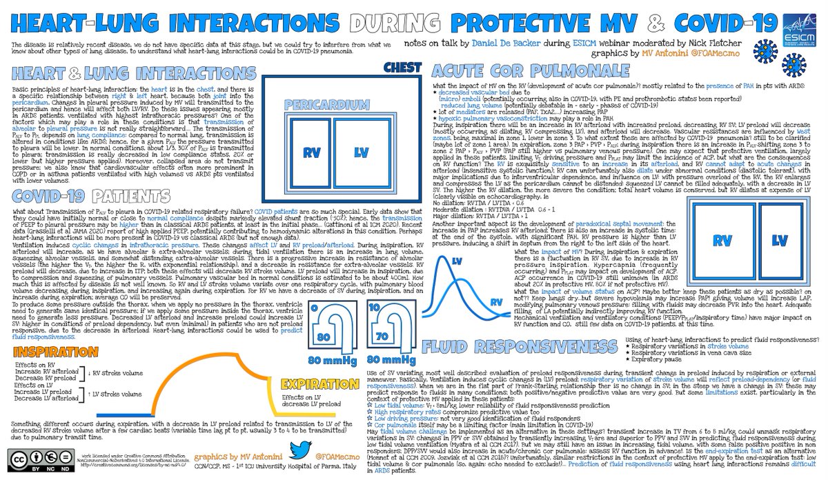 Heart-lung interactions in pneumonia <a href="/ESICM/">ESICM</a> webinar: De Backer D moderated by <a href="/Echotrainer/">Nick Fletcher</a>
basic physiology
#ARDS &amp; #COVID19
acute cor pulmonale
fluid status/responsiveness (&amp; assessment)
slides + high res graphics esicm.org/blog/ 
#Coronavirus #COVIDFOAM #FOAMcc #FOAMus