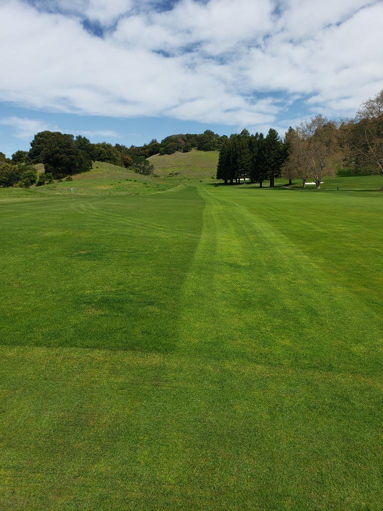 KevinHauschel's tweet photo. Before and after down and back double cut on fwys!!! They were long not anymore and looking great!! New ryegrass seed put out before shelter on place is maturing nicely, ome benefit of no play and minimal maintenance!! #2mancrew https://t.co/rmqIITUF0t