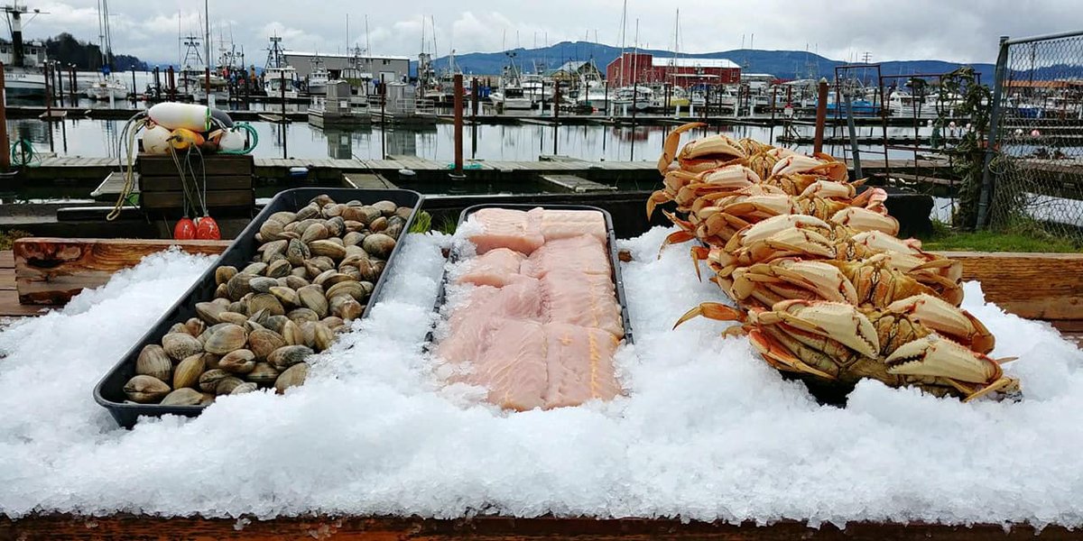 VisitGaribaldi's tweet image. We were thinking local seafood, if only you could  @VisitGaribaldi.  Maybe another time?