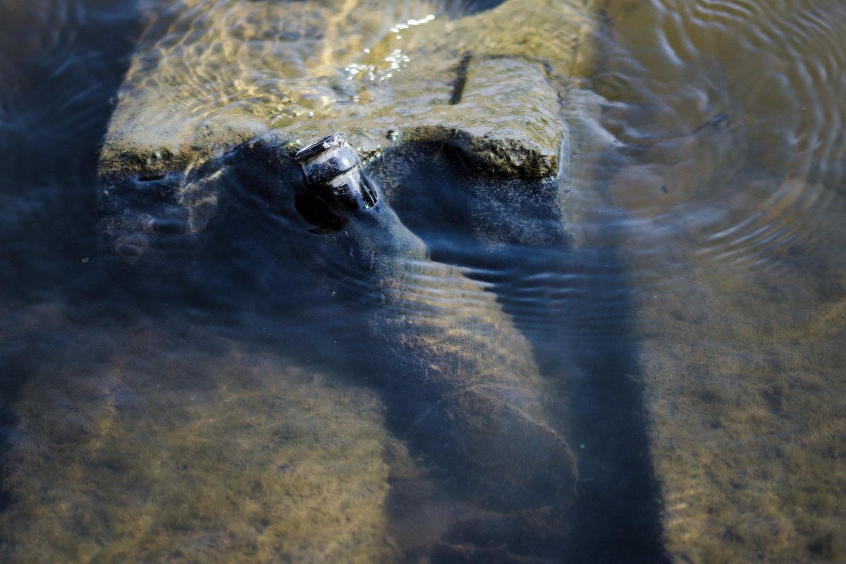 Inside out 
.
.
.
.
.
.
.
.
.
.
.
#polution #park #bottle #glas #water #schlossteich #chemnitzcity #chemnitz .
#nature #expo #light #colors #photography #photo #photooftheday #pictures #mood #exposure #picoftheday #stunning_shots #creativ #lightroom #dailyphotochallenge