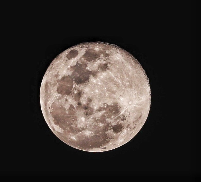 Syed35325599's tweet photo. #1Dxmark!! With 100-400mm https://t.co/EEjmlJRXuv