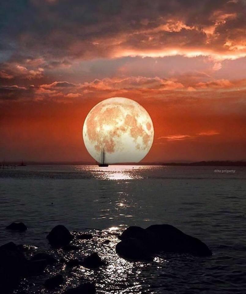 aux_actes's tweet photo. Photos prises à 3H30 du matin à la frontière sino-tibétaine à 5580 mètres d'altitude. 
Il faudra 150 ans pour revoir les mêmes images... #lune https://t.co/uuFmVtp6v5