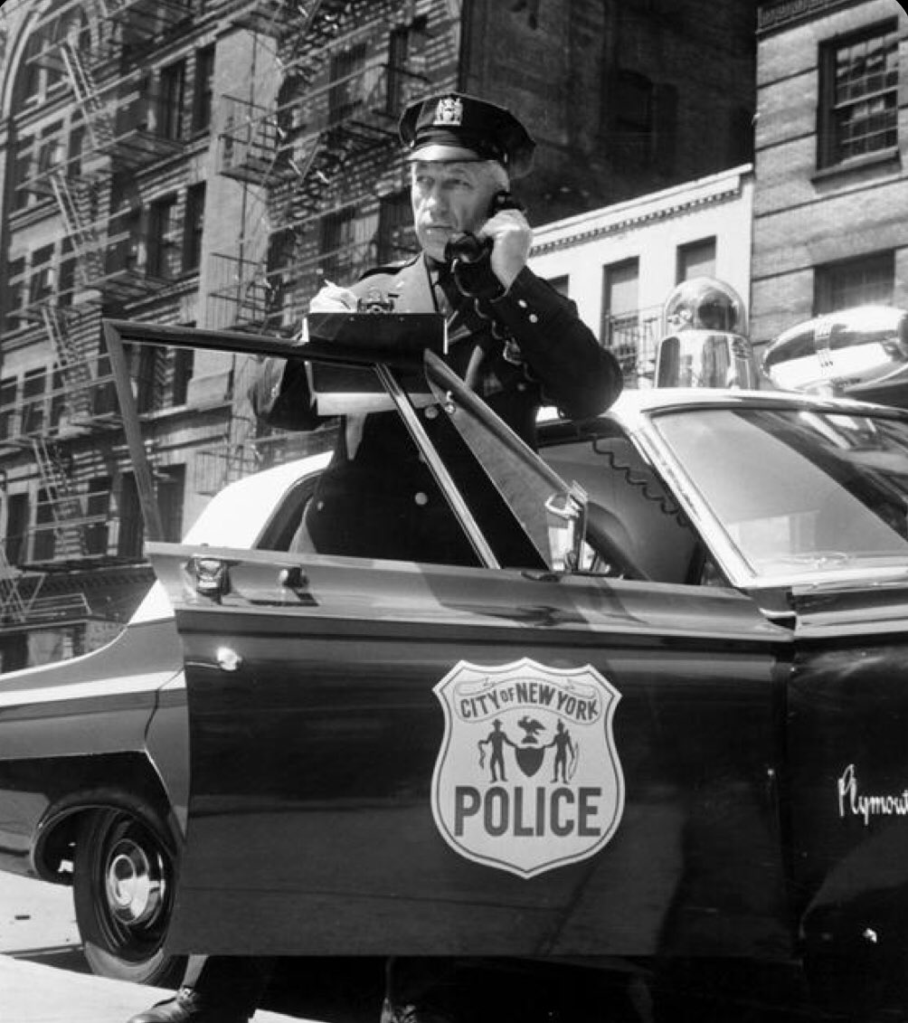 - Consejo Escolar del estado, dígame
- Vengan rápido, he visto a un niño relajándose en mi edificio.