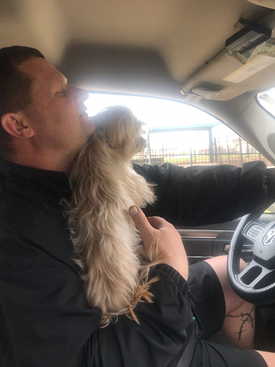 StMarysDragons's tweet image. Between classes &amp;amp; work projects, faculty &amp;amp; staff are finding ways to feel normal. (L-R): Mr. Schnorbus prepares to go to Dierberg's, Mr. Divis takes Ollie out for a drive, and Mrs. Ranciglio enjoys the positive aspects of working at home! #Chores #FeelingNormal #OurdoorClassroom