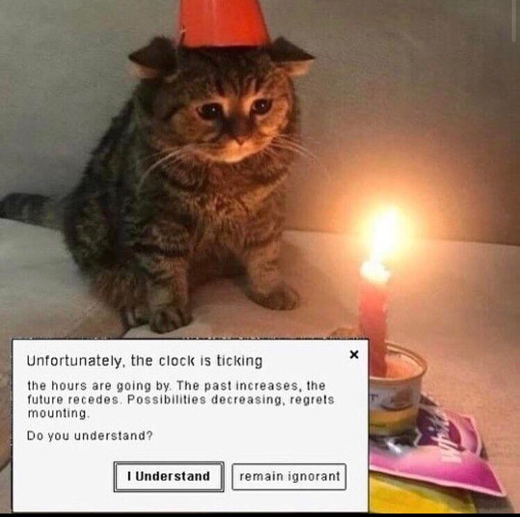 Suicidal Pepe (@imsuicidalpepe) on Twitter photo 