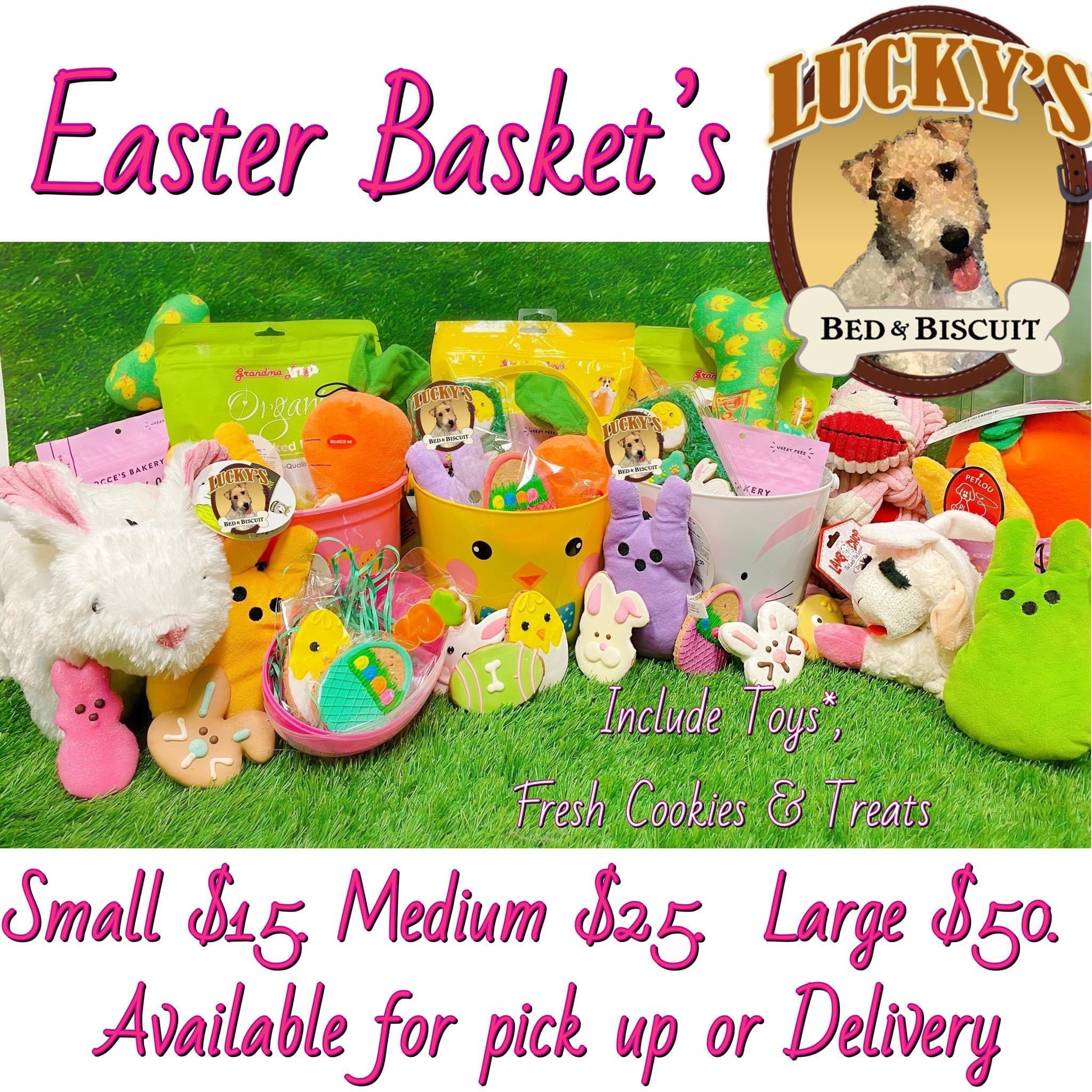 Lucky bed and biscuit 2025
