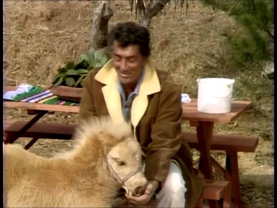 Best part of a Zoo, 'The Petting Zoo!' 
#ZooLoversDay