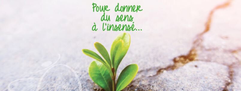 Les administrateurs d' EST LYONNAIS <a href="/CE_RhoneAlpes/">PoC via badhacker0x1</a> ont octroyé un don de 9500€ à la tête haute je soutiens Marin pour financer 300 coffrets permettant aux familles de victimes de lésions cérébrales d’interagir et de réinventer un lien avec leurs proches.societaires.caisse-epargne.fr/rhone-alpes/li…