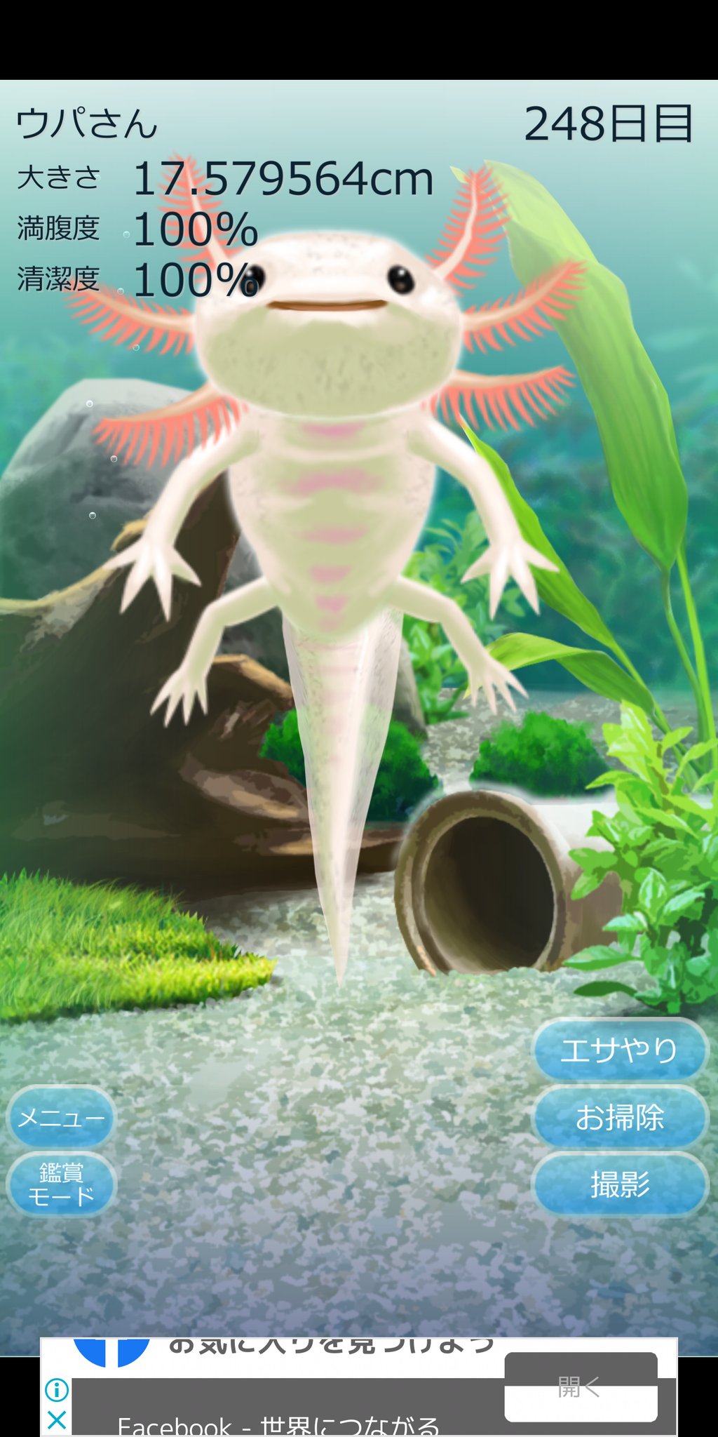 メイまむ もぐもぐmotiko Al Twitter ウーパールーパー育成アプリやってるんだけど でかくなり過ぎた ってか どこまででかくなるんだろう 笑 ウーパールーパー育成アプリ あつ森持ってないからこれで我慢 ウーパールーパー T Co Wcaylixqsu Twitter