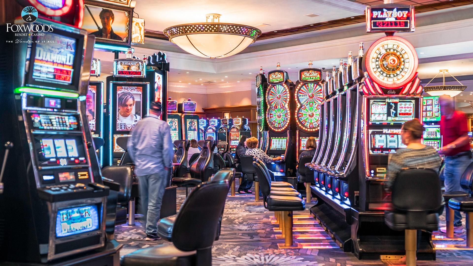Las vegas betting online boxing Las vegas betting online boxing best crypto currency analyzing softwar