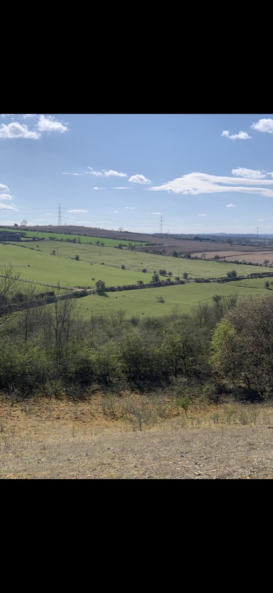 I’ve literally ran with my dog Lily every day, so today we took it easy &amp; I got some pics of where I live to share with you.  The trail literally starts across the road from my house. It’s very beautiful. Hope you are all safe &amp; well.  Stay positive. Sending love to all xx