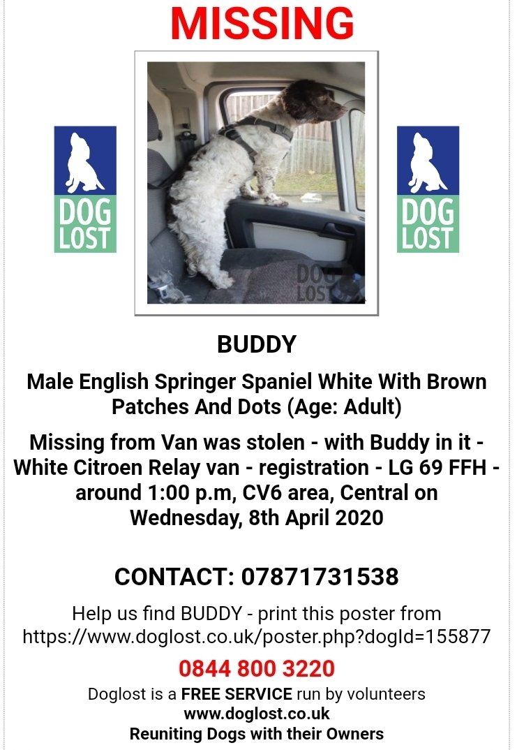 Were you in the Cv6 Coundon area of  #Coventry on Wednesday 8 April around 1pm? Do you have a video doorbell or or a dash cam? Please check your footage for a white citroen relay van LG69FFH for footage or doorbell footage to help us find Buddy 