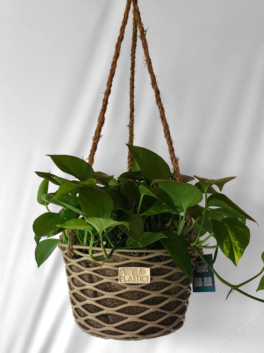 wildplasticorg's tweet photo. We’re excited to announce you now have the option to turn any of your favorite #recycled #plastic baskets and bowls into a hanging #planter! You can even add a jute liner if you’re using soil! Available online only! #wildplasticorg #saveourseas #plasticpollution #ocean #upcycle https://t.co/4GHtnWTRlY