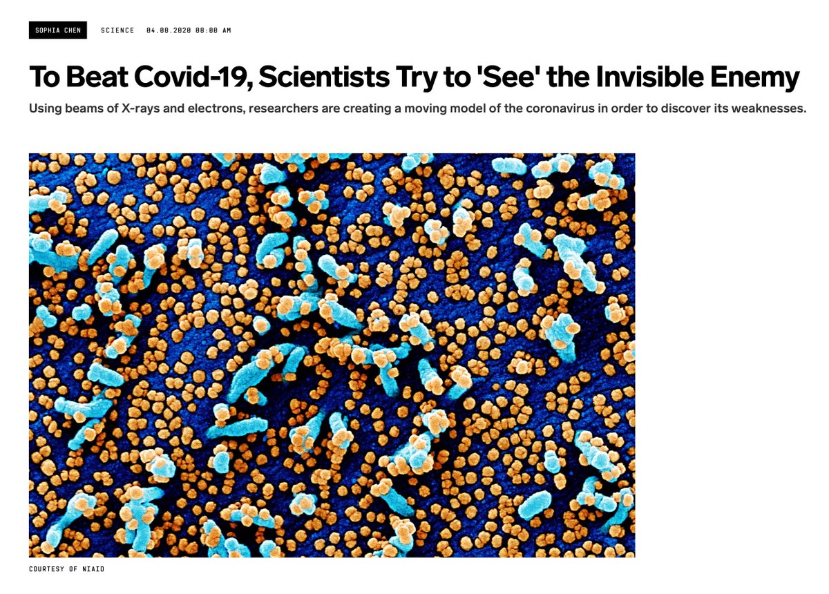 The basic science community has seized upon developing  #3D models of both the  #COVID19 virus components & antibody. @sophurky's outstanding  @WIRED piece on the atom by atom efforts, highlighting the exceptional work of  @RommieAmaro  https://www.wired.com/story/to-beat-covid-19-scientists-try-to-see-the-invisible-enemy/ https://twitter.com/RommieAmaro/status/1241810976866840577