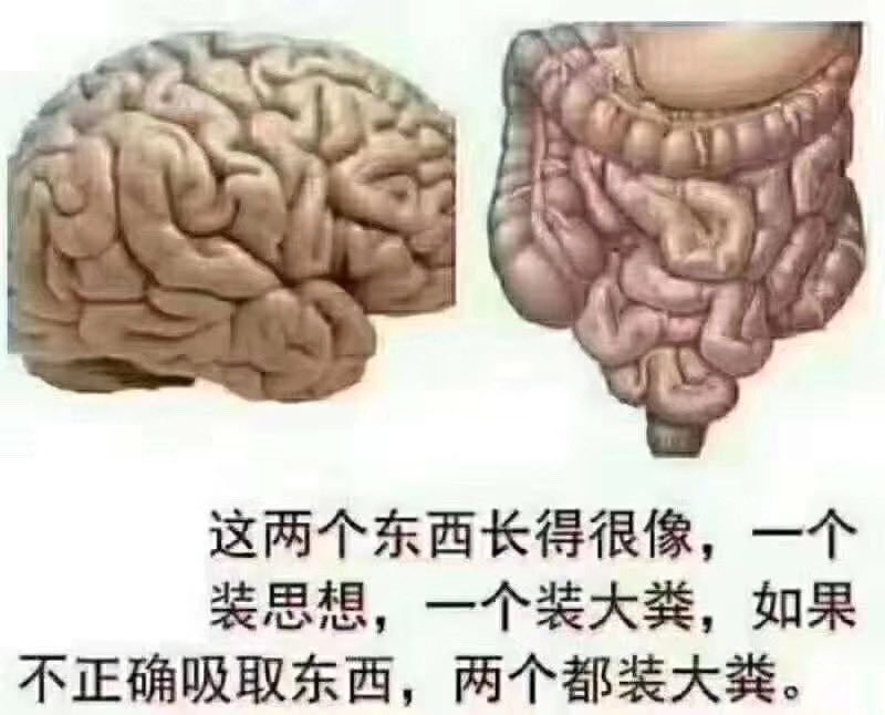 WDDLS2016's tweet photo. 从过去清灭民国生，共覆民建政，刘批毛，毛灭刘，林起势，后被强行“叛国”，斗邓斗私，平反开放......到现代“911”恐袭，日本大地震，澳洲大火，李文亮被训诫，美国疫情爆发，英国首相感染等等，跟你们有JB关系没JB关系的都上去点赞，跟这样的SB们还得是同族群，老子不甘、窝囊、憋屈、难受、绝望..... https://t.co/GHedfTz8Ak