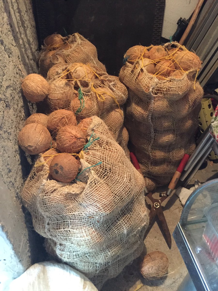 Maximo Decimo Meridio tweet media