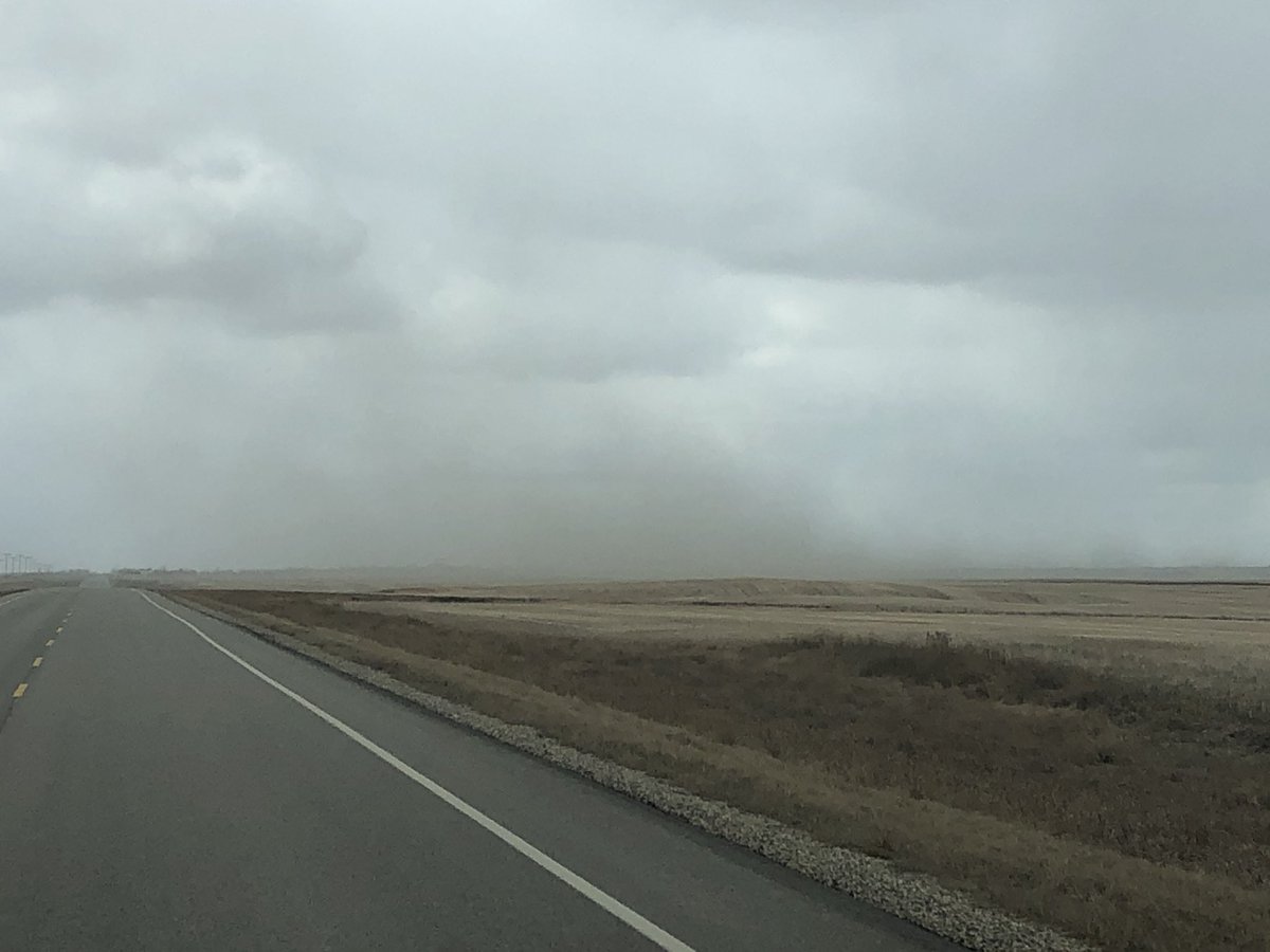 Ashley Metke tweet media